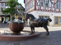 rossmarkt-c-ih-keyvisual-2 © Isabella Heider