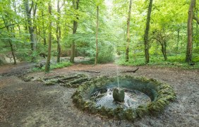 Springbrunnen nahe der Neubornquelle &copy; Dominik Ketz