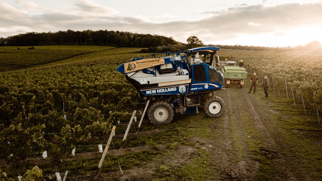 Weingut Breitenbach Merlot Lese 29.09.2019-7, © Weingut Breitenbach
