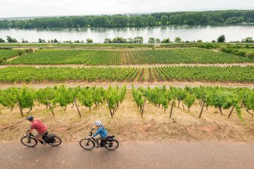Radfahren am Roten Hang mit Blick auf den Rhein, © Dominik Ketz