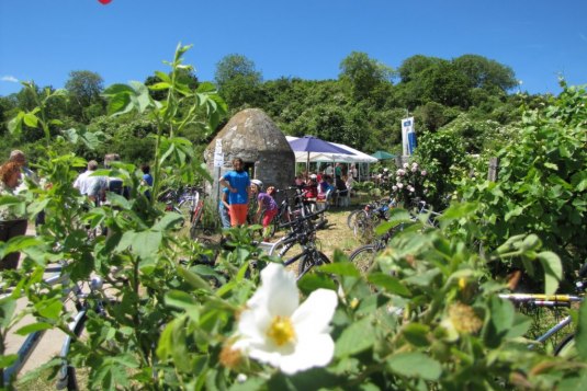 Kleiner runder Weinbergsturm aus Stein, ein Trullo, steht zwischen Weinreben in Rheinhessen. Rundherum stehen Fahrr&auml;der, w&auml;hrend mehrere Menschen an einem Stand mit Sonnenschirm pausieren. Im Vordergrund sind Pflanzen und eine wei&szlig;e Bl&uuml;te zu sehen.