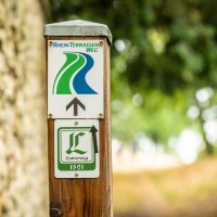 rheinhessen-2020-266 © Dominik Ketz