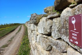 Weinpfad Großwinternheim © Stadt Ingelheim / Pascal Bernhard
