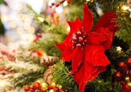 Weinhachtsdekoration