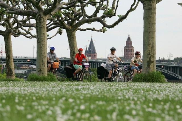 Rhine Promenade: bicycles