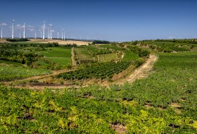 Alsheimer Römerberg © Silz