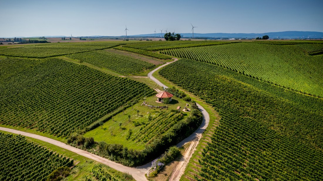 Gau-Bischofsheimer Glockenberg