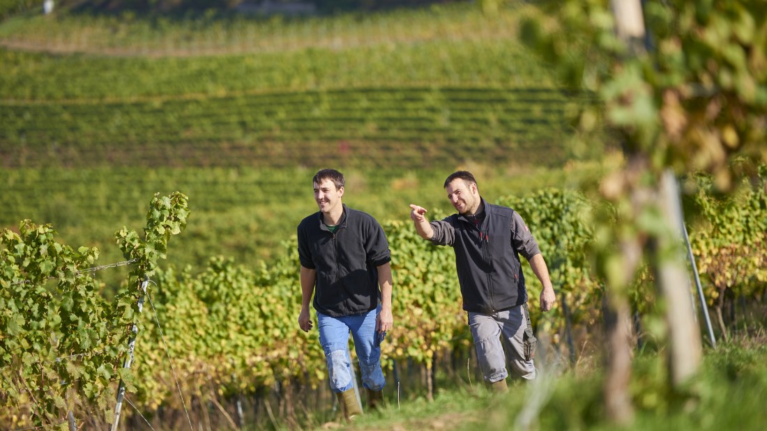 Weingut Geil_Winzer 3, &copy; Weingut Geil