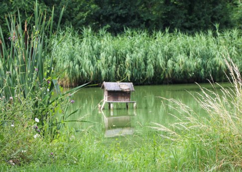 weiher-2