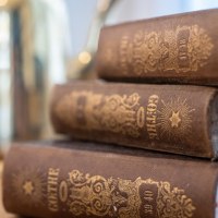 Books on the history of Ingelheim