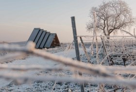 Die Hiwweltour Zornheimer Berg im Winter &copy; Sven Hasselbach