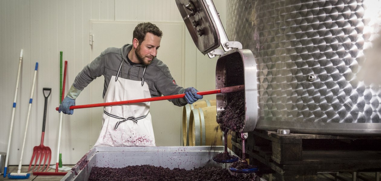 Weingut & G&auml;stehaus Volker Schmitt_Winzer, &copy; Weingut & G&auml;stehaus Volker Schmitt