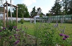 Wohnmobilstellplatz Weingut Schales