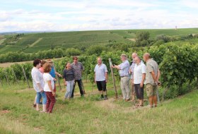 Weinberg-Spaziergang &copy; Angelika Friedrich