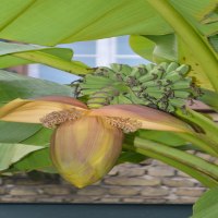 GB-Ferienhaus-46-768x1155