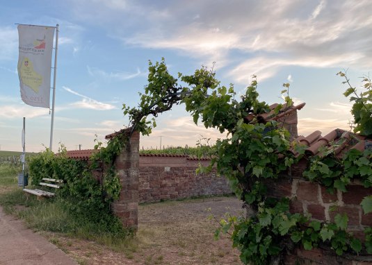 Alte Mistkaut am RheinTerrassenWeg
