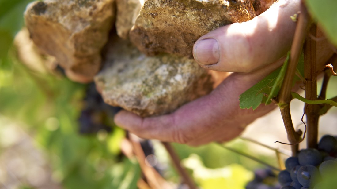 Weingut Michel-Pfannebecker_H&auml;nde, &copy; Weingut Michel-Pfannebecker