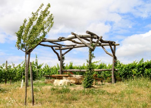 pergola