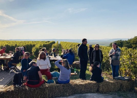 Wein Picknick Hiwweltour Aulheimer Tal