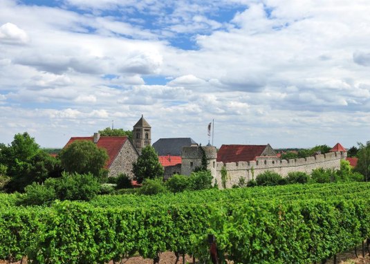 Ortspanorama &copy; VG Monsheim - Fotograf Carsten Costard