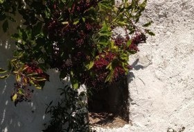 Trullo Monsheimer Hohl © VG Monsheim