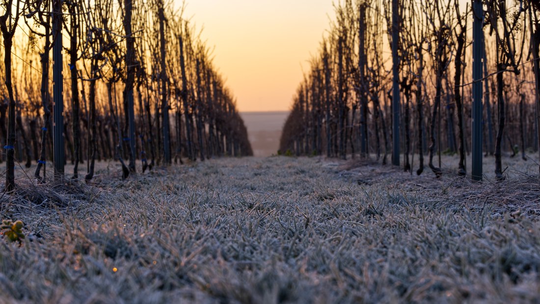 &copy; Weingut Gres