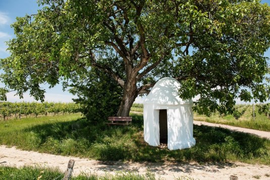 Trullo by the walnut tree