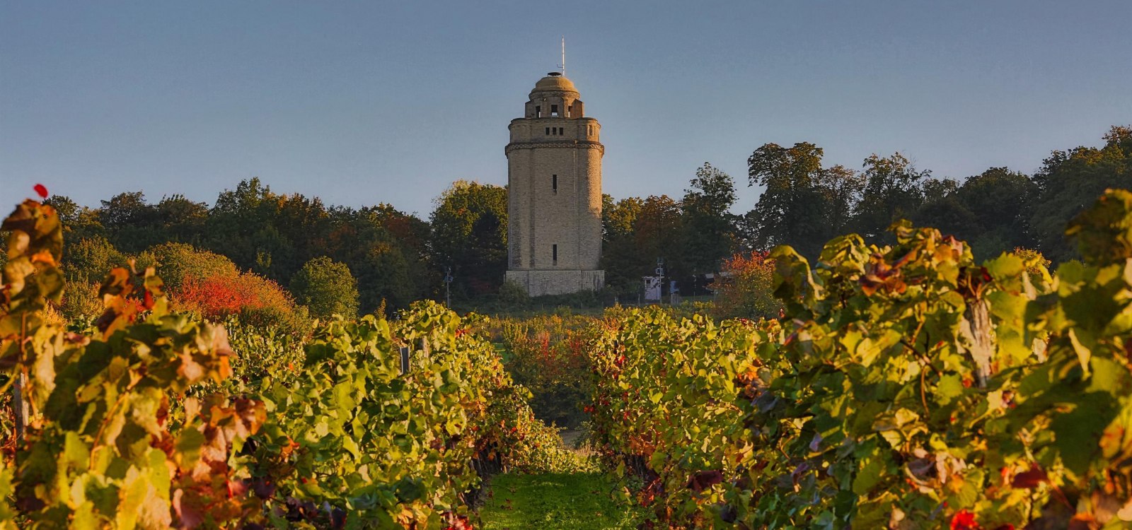 Bismarckturm mit Blick von den Weinbergen, &copy; Rainer Oppenheimer/Stadt Ingelheim