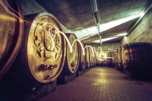 Kellerf&uuml;hrung, &copy; Weingut Hagemann GbR