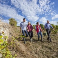 Weingut Ochs3 &copy; Weingut Ochs