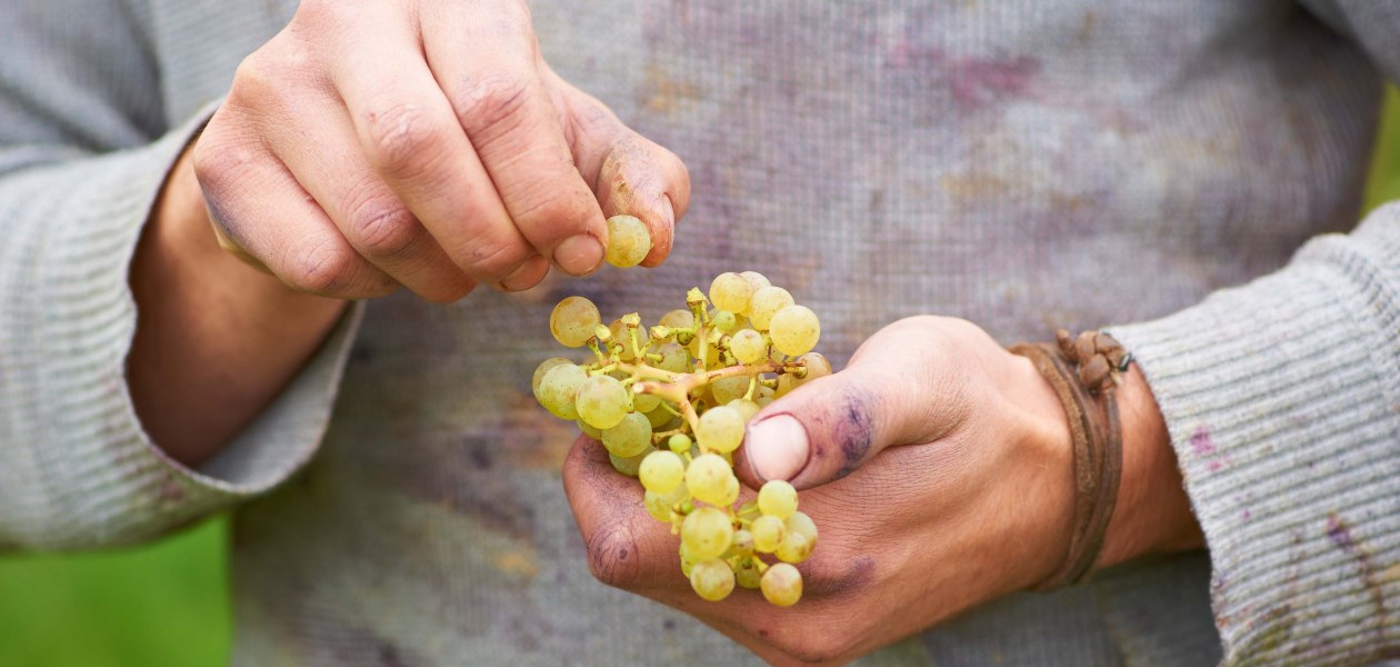 &copy; Weingut Achenbach