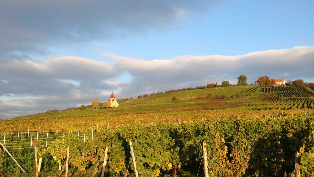 Winzerhof Schnabel_Weinberg Kreuzkapelle, &copy; Winzerhof Schnabel