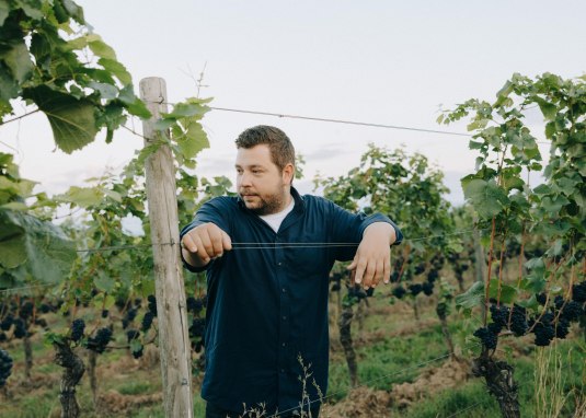 Julius Wasem &copy; Weingut Wasem