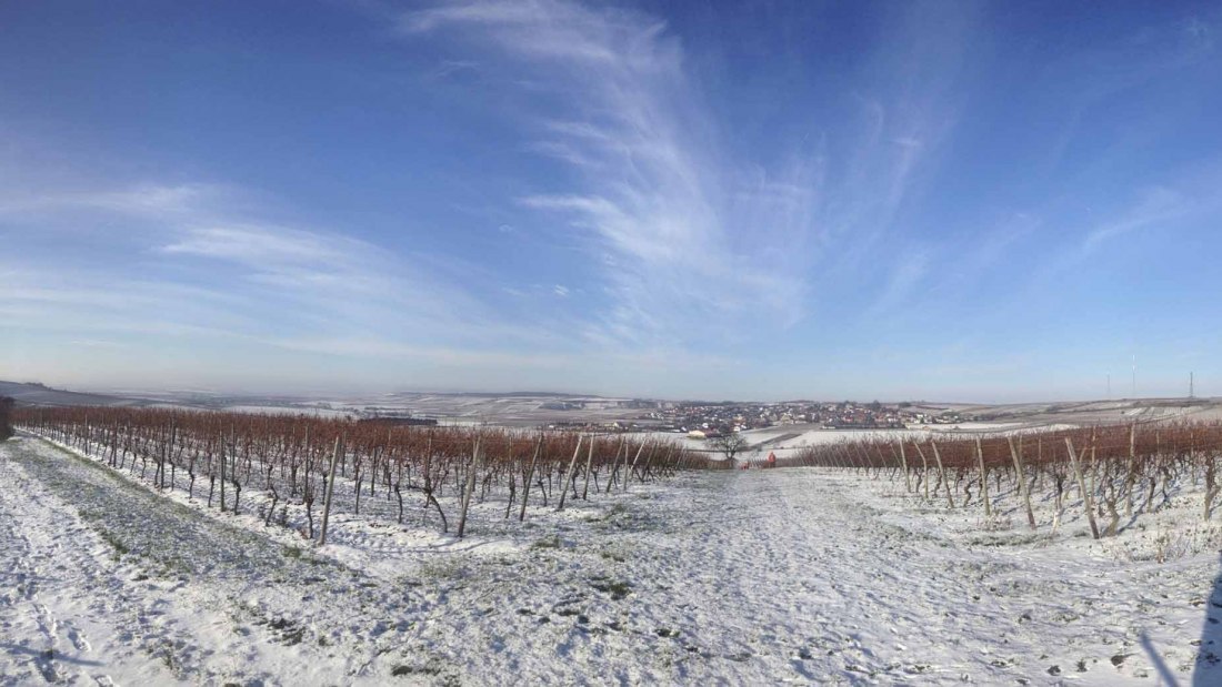 Weingut Kathrinenhof_Weinreben im Schnee, © Weingut Kathrinenhof