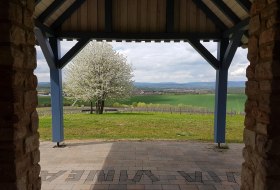 Schutzh&uuml;tte Via Vinea &copy; Tourist Info Sprendlingen-Gensingen