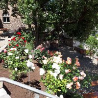 Terrasse Altes Amtsgericht 3 &copy; A. Weisrock