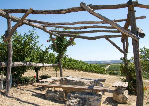 pergola-1
