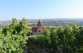 Familien-Erlebnisf&uuml;hrung &copy; Angelika Friedrich