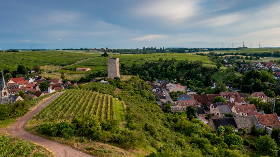 Niersteiner Schloß Schwabsburg