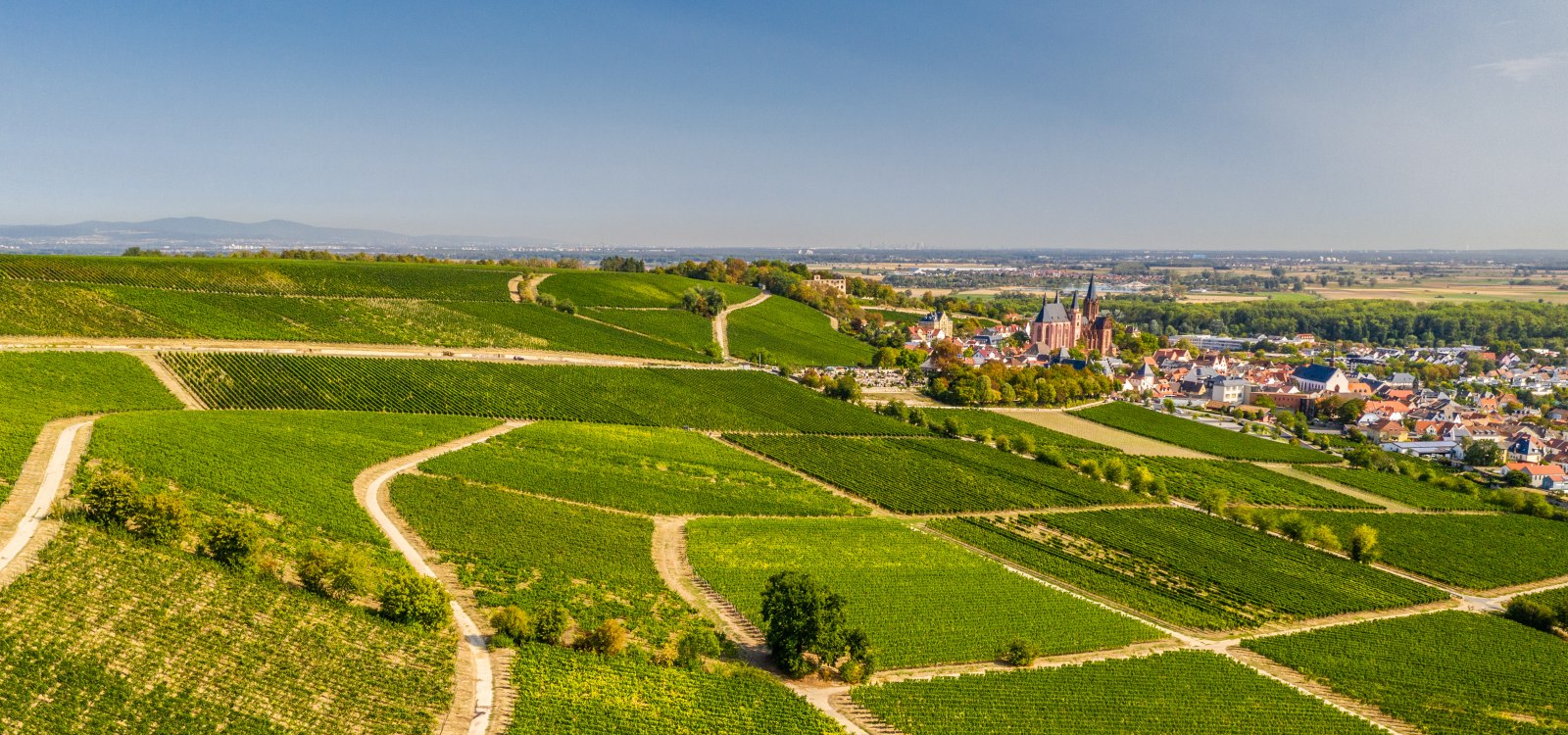 Panoramablick auf Oppenheim mit der Katharinenkirche, &copy; CC BY SA 4.0 Dominik Ketz