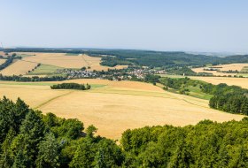 Aussichtspunkt Hiwweltour Vorholz &copy; Rheinhessen Touristik GmbH
