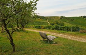 Rastplatz am Kalmit (Liege) &copy; CC-BY: Birgit Korte