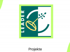 Projekte