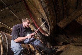 © Weingut Boxheimerhof