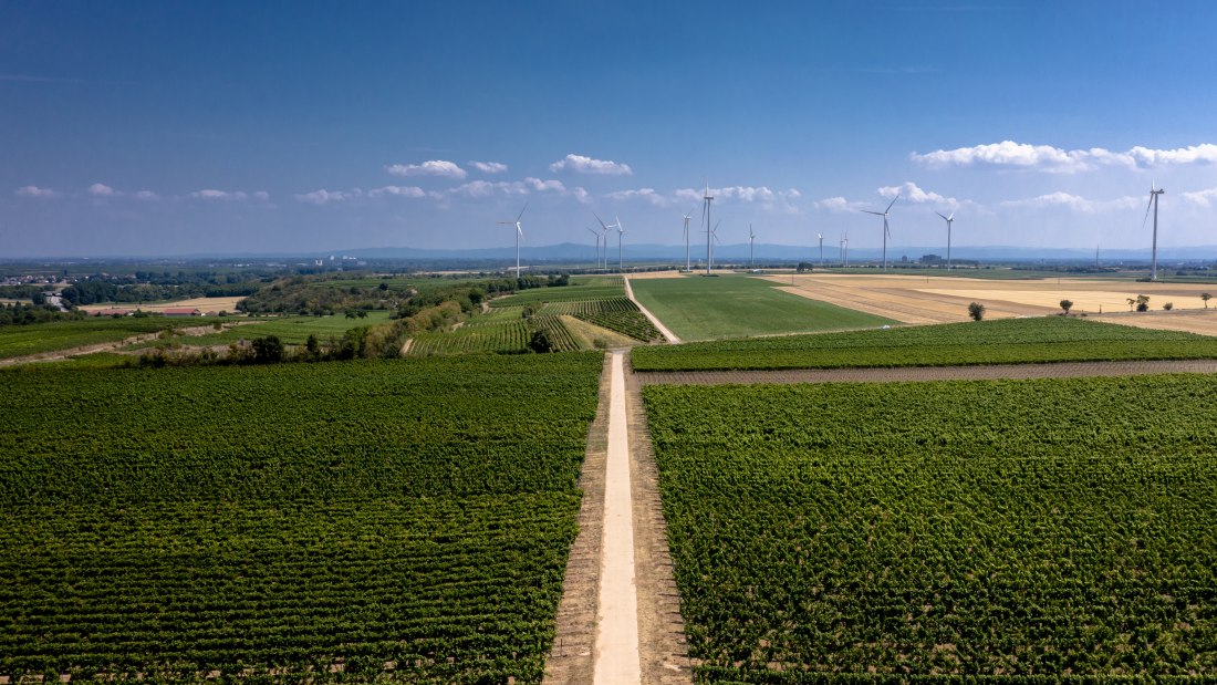 Mörstadter Nonnengarten