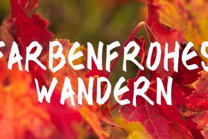 Farbenfrohes Wandern, © Tourist Info VG Sprendlingen-Gensingen