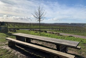 Tisch des Weines an der Weinmeile &copy; Petra Julius/Stadt Ingelheim