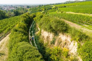 Alsheimer Hohlwege, Luftaufnahme, &copy; Dominik Ketz