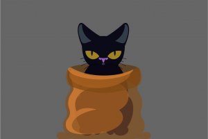 Katze im Sack