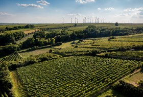 Alsheimer Frühmesse